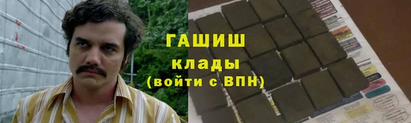 дмт Богородицк